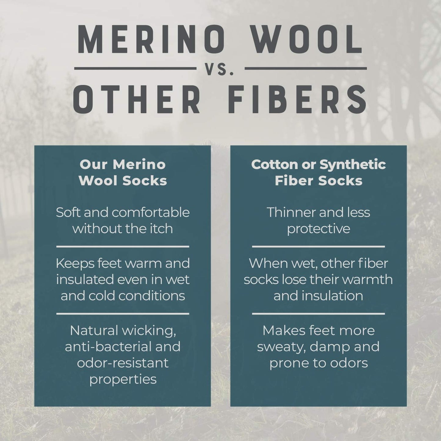 Merino Wool Hiking Socks for Men and Women – 3 Pairs Midweight Cushioned – Warm N Breathable