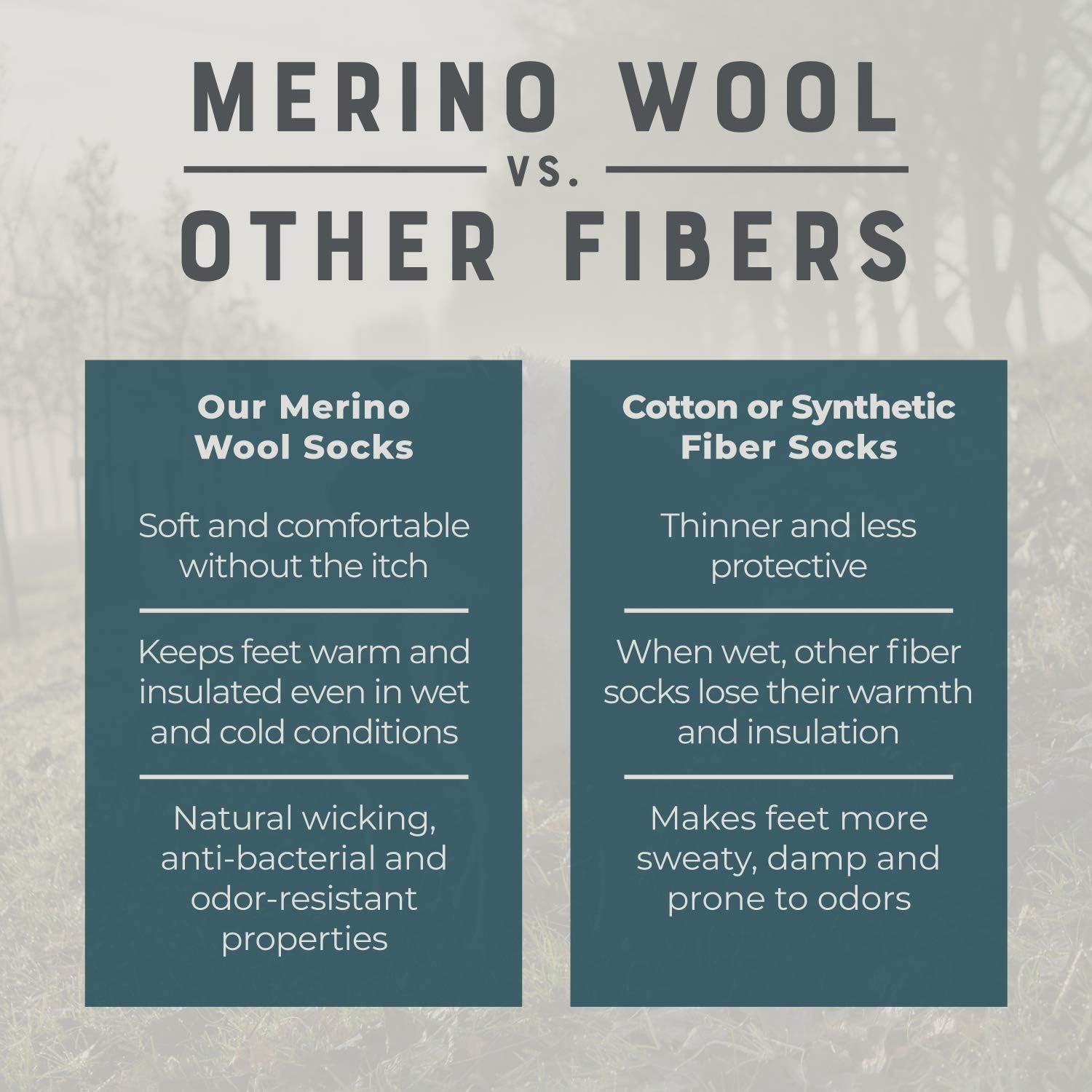 Merino Wool Hiking Socks for Men and Women – 3 Pairs Midweight Cushioned – Warm N Breathable